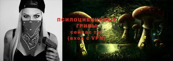 мескалин Богданович