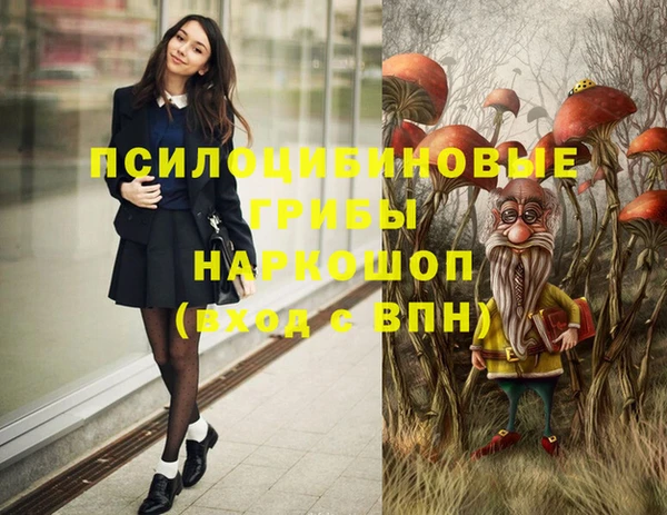 мескалин Богданович