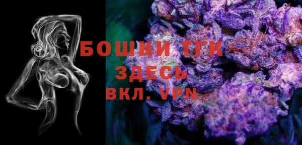mdma Богородицк