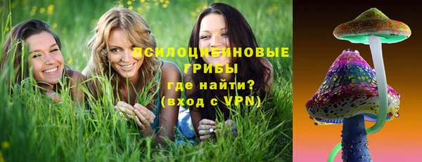 мескалин Богданович