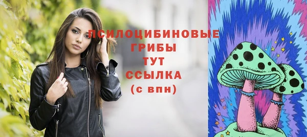 мескалин Богданович